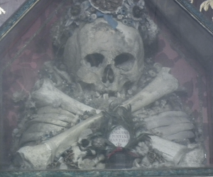 Skull and Crossed Bones